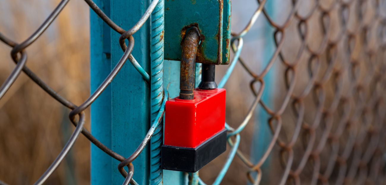 LinkedIn strategy consultant