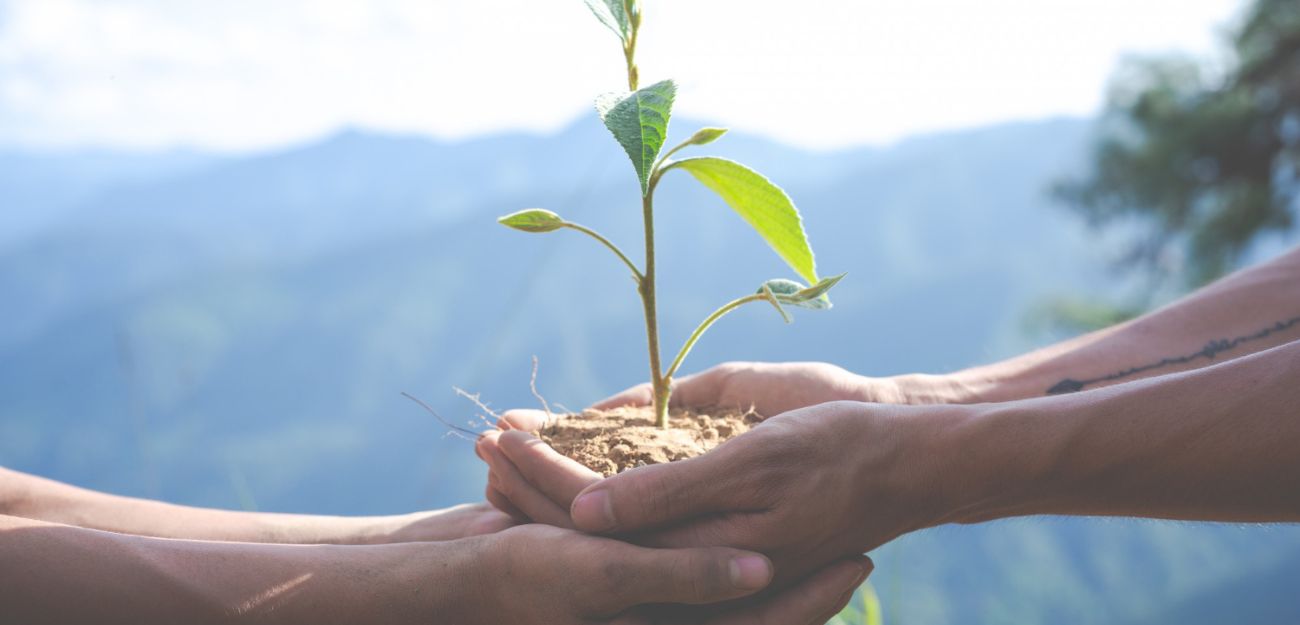 lead nurturing examples